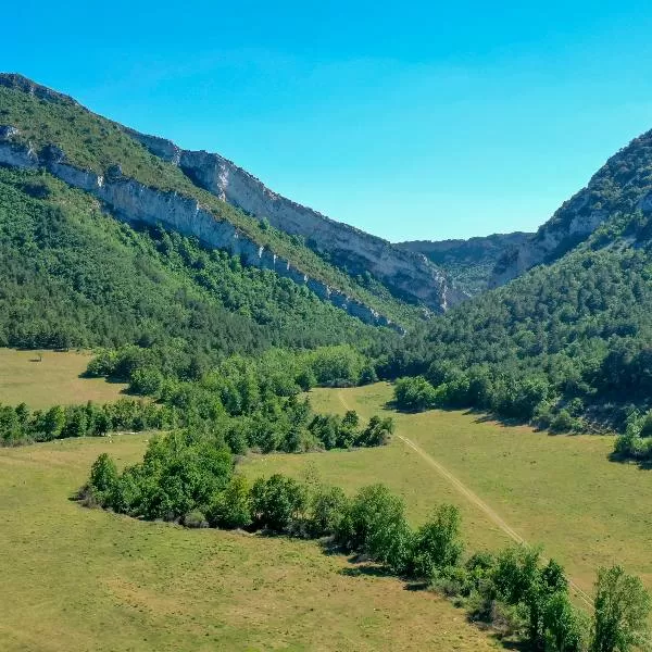 Un valle con mucha vegetación.