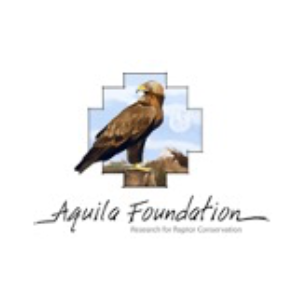 <strong>Fundación Aquila</strong>