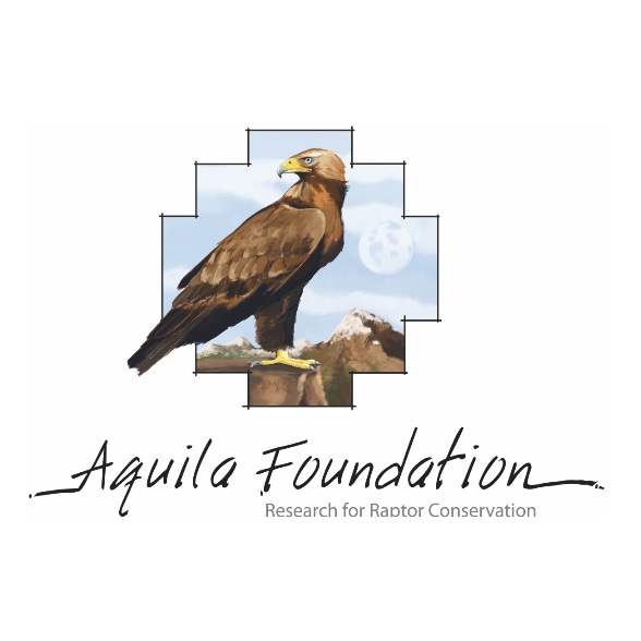 <strong>Fundación Aquila</strong>