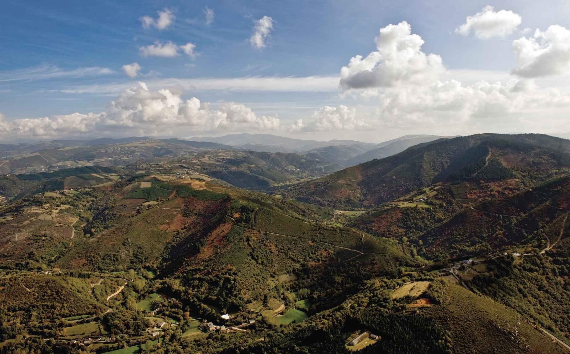 Natural meadow landscape