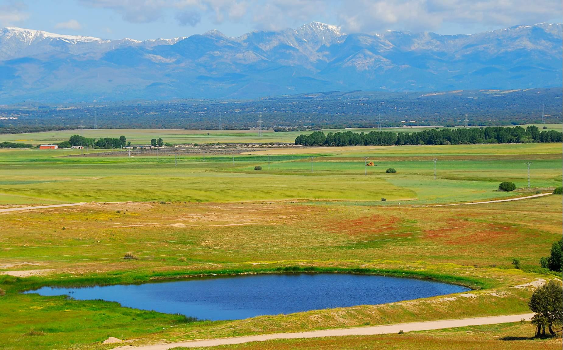 Plain with a small pond and a mountain in the background.
