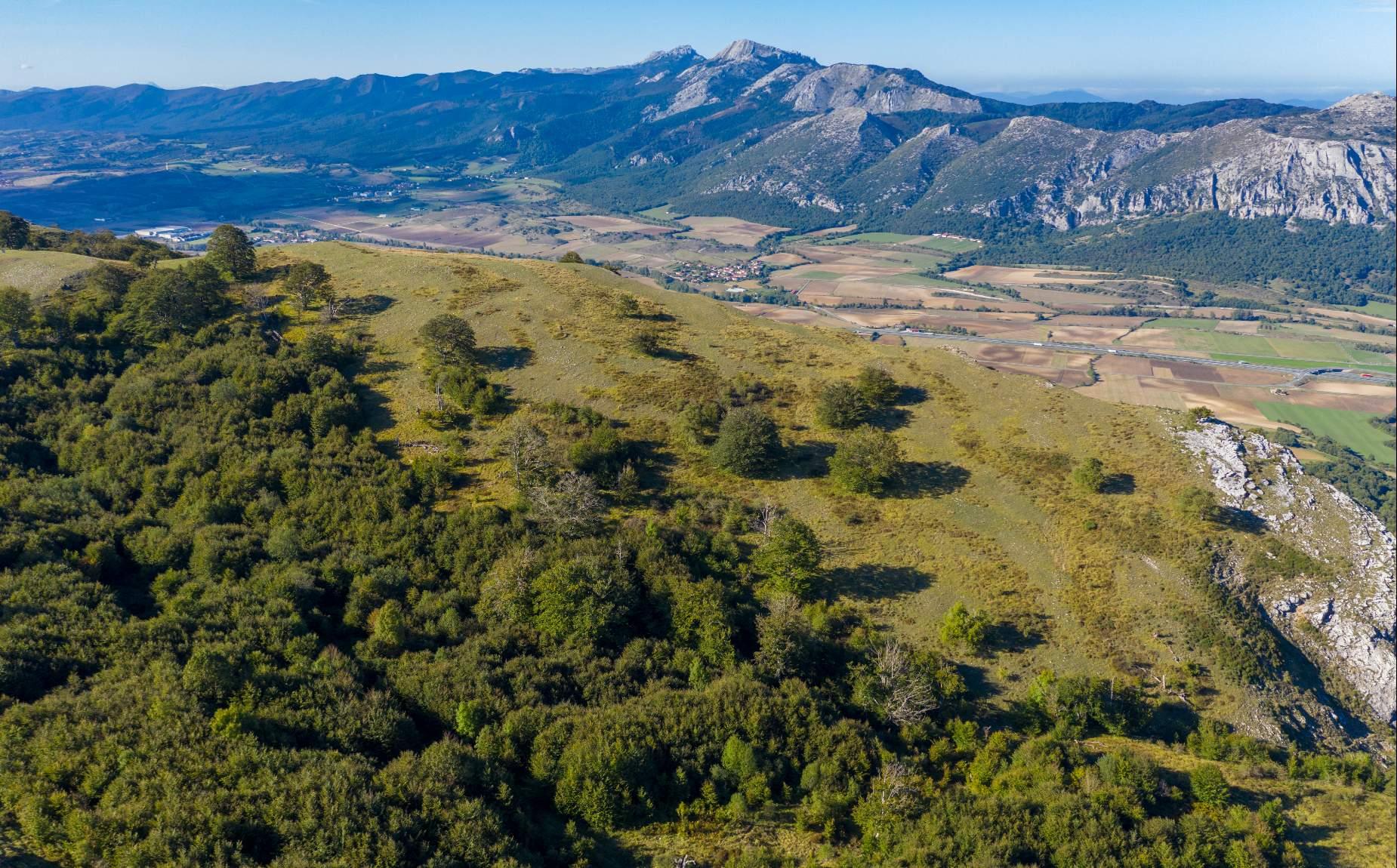 Mountainous reliefs and plateaus