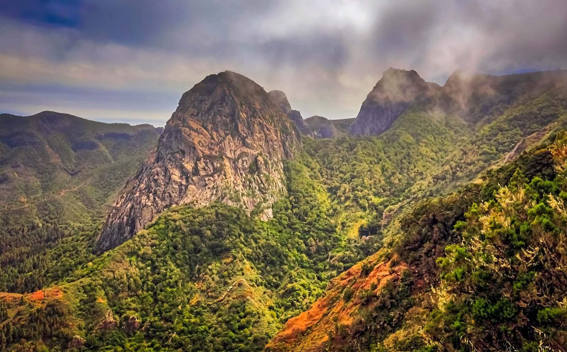 Bosque en La Gomera