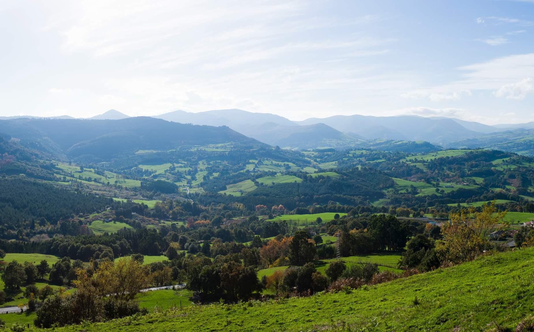 Natural landscape between mountains and trees
