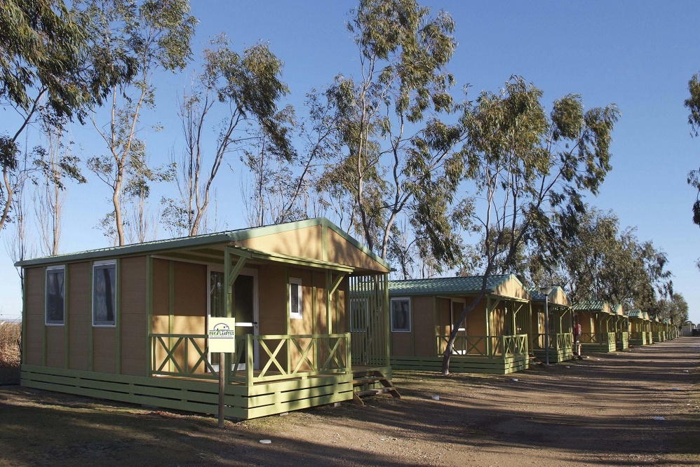 Camping Eucaliptus Soyecoturista Com