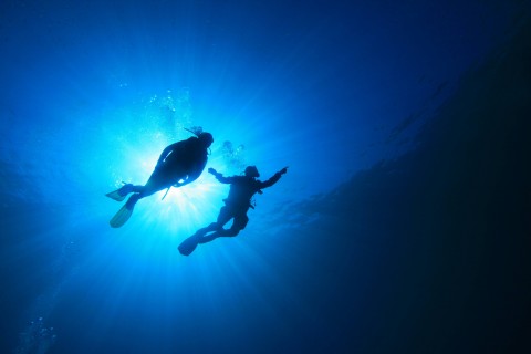 Pura Vida Diving Lanzarote