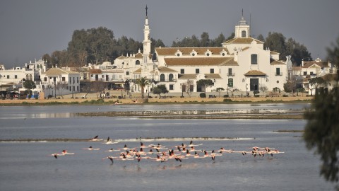 Ecoturismo en Doñana, contado por el tercer ganador del sorteo SoyEcoturista