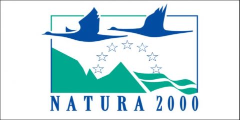 La Asociación de Ecoturismo en España es miembro del Órgano de Coordinación Nacional del Sistema de turismo de naturaleza en la Red Natura 2000