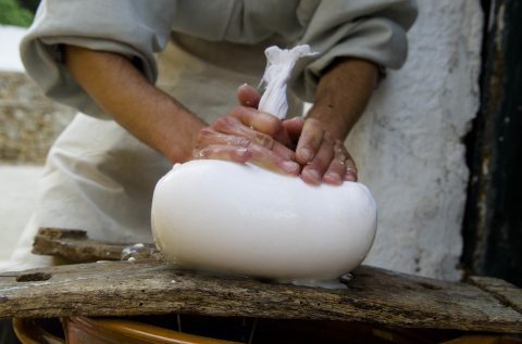 Elaboración de queso artesano de Menorca