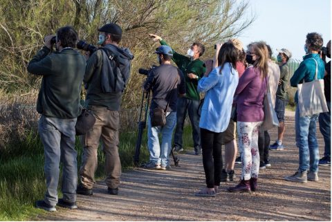 Informe sobre la oferta de ecoturismo en España 2020