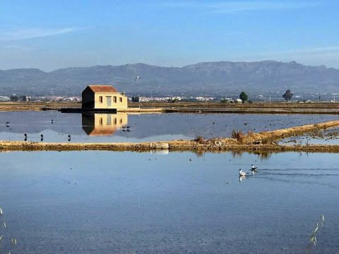Sumérgete en la naturaleza con estos 11 alojamientos rurales en Delta del Ebro