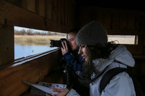 Birdwatching: o el arte de conocer distintas especies de aves gracias a estas experiencias únicas