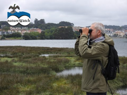 Inscripciones abiertas para asistir al Encuentro NatureWatch Galicia 2022