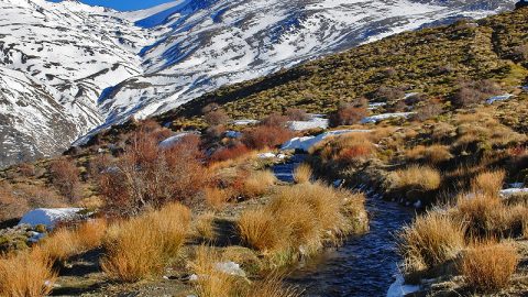 La ganadora de septiembre de la promoción #SoyEcoturista 2021 disfruta de su premio en Sierra Nevada