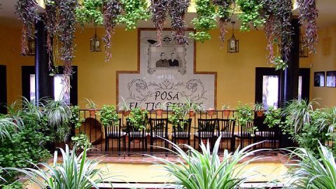 3 restaurantes para disfrutar de la gastronomía ecoturista en Sierra Nevada