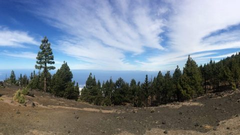 ¿Has pensado en visitar La Palma? Aquí tienes 2 experiencias que no te puedes perder