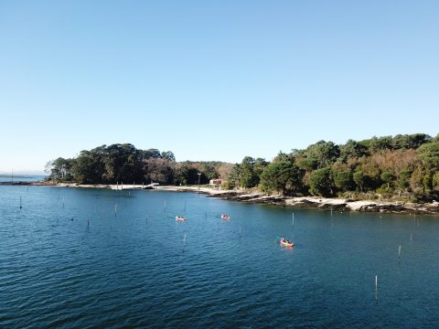 Kayak en Cortegada: La enigmática isla de los laureles
